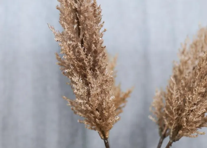 公寓 Prime Center Point