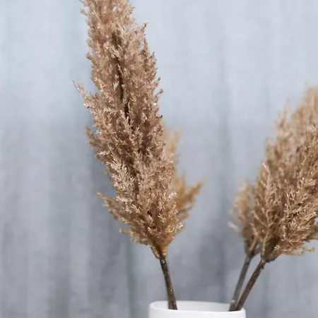 公寓 Prime Center Point